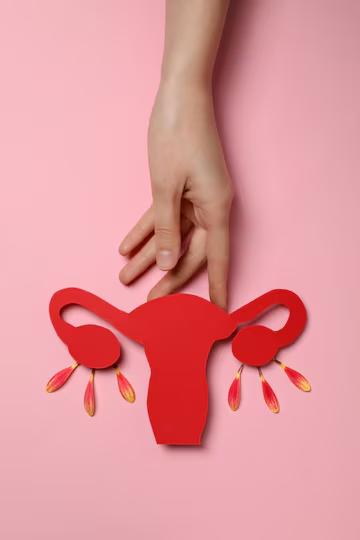 Red paper cutout of a uterus held by a female hand